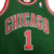 Imagem do Chicago Bulls HWC Retrô 08/09 - Masculina - Verde
