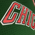 Chicago Bulls HWC Retrô 08/09 - Masculina - Verde
