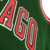 Chicago Bulls HWC Retrô 08/09 - Masculina - Verde - comprar online