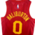 Imagem do Indiana Pacers - HICKORY - 18/19 - Masculina - Vermelha
