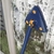 Imagem do Esfregão Triangular Retrátril Ajustavel Giratorio 360° - Mop De Limpeza (com refil)