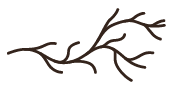 Root.bl