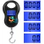 Balança Eletrônica de 50 kg e 10 g Pendurada – Compacta, Portátil e Precisa, com Display LCD e Várias Unidades de Pesagem na internet