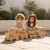 Tren Juguete Madera. Trencito Juguete. Tren Infantil Grande - exalaser