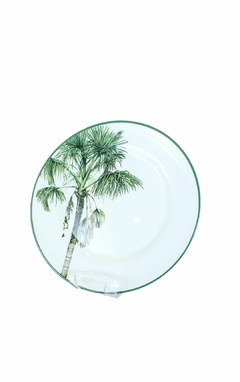 CONJUNTO 6 PRATOS RASO PALMEIRA - comprar online
