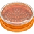 DOSING CAPSULE FILLING SET en internet