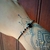 Pulseira De Prata Com Pedras Onix - comprar online