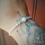 Pulseira De Prata Com Pedras Onix - Joia Infinita | Joias e Semijoias