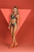 Conjunto Mix De Folhas De Chelles