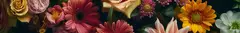 Banner da categoria Flores e Paisagens