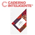 Refil Caderno Inteligente Liso 120g Inteligine - Bruxinha Papelaria & Brinquedos