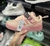 Adidas Forum Bad Bunny en internet
