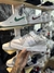 Adidas Forum Bad Bunny - comprar online