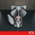CO ESCULTURA - CUTE RACCOON