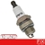 KIT VELA IGNIÇÃO 2T BPM7A ROÇADEIRA MOTOSSERRA SAVANA 10 PÇ - comprar online