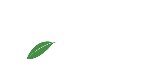 SoulAne By Anelise Lopes