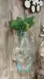 Pote Planta
