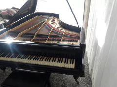 Piano Schiedmayer & Soehne 1/2 Cola - San Pedro Pianos