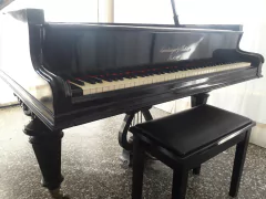 Piano Schiedmayer & Soehne 1/2 Cola - tienda online