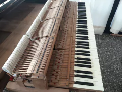 Piano Schiedmayer & Soehne 1/2 Cola en internet