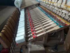 Piano Schiedmayer & Soehne 1/2 Cola - tienda online
