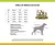 PIJAMA PET URSO MARROM - loja online