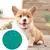 LABIRINTO PET GAME VERDE AGUA PEQUENO - loja online