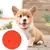 BRINQUEDO LABIRINTO LARANJA - P - comprar online