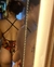 Body red camufaldo - comprar online