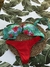 Bikini dos piezas