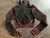 Conjunto deportivo Seamless - tienda online