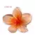 Presilha Para Cabelo Flor Pinterest - 06 cm. - tienda online
