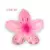 Imagen de Presilha Para Cabelo Flor Pinterest - 06 cm.