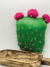 Penca de Nopal