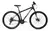 Mountain bike TopMega Regal R29