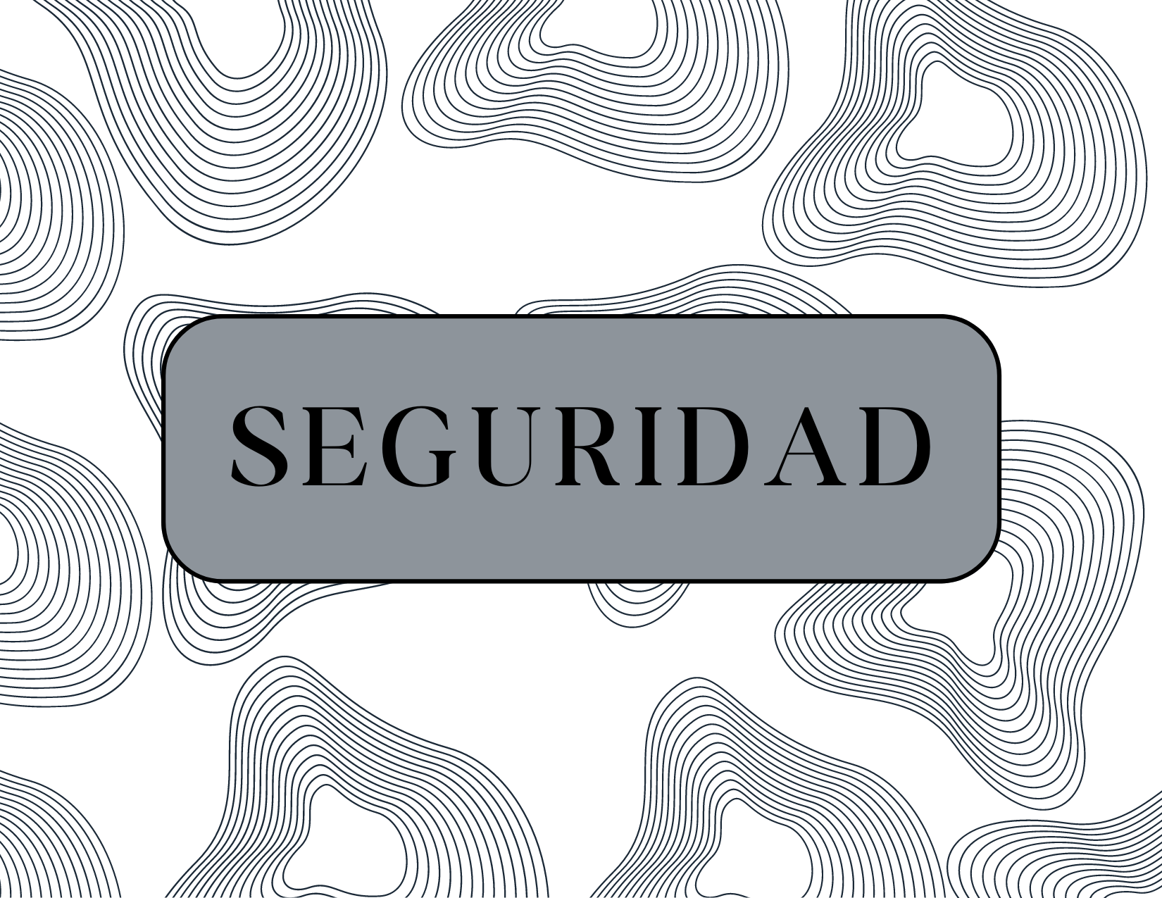 Seguridad