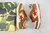 Bape Sk8 Sta "Wheat Red" - loja online