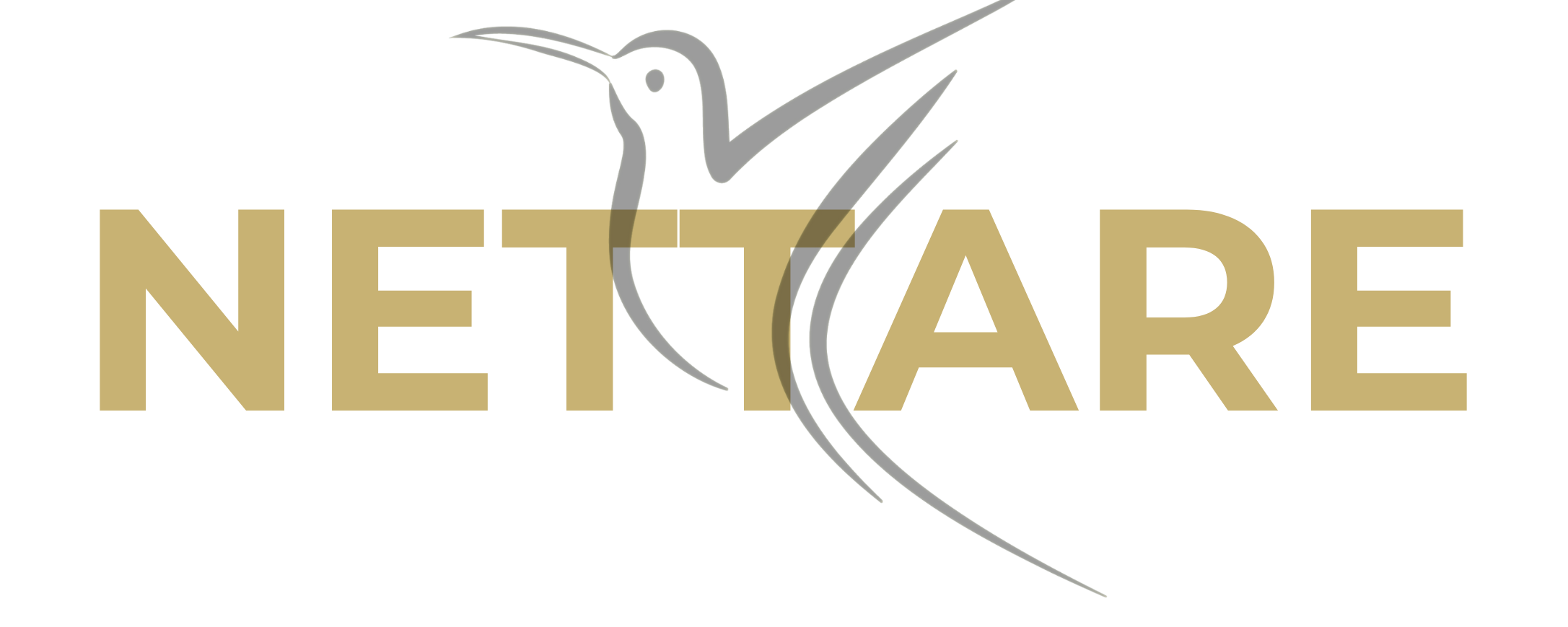 Nettare semijoias