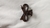 Broches animal print en internet