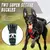 Coleira para cães, coletes grandes, coleira, pet shop, tudo para cães - comprar online