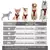 Coleira para cães, coletes grandes, coleira, pet shop, tudo para cães - comprar online