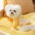 Moletom de cachorro, jaqueta chihuahua, roupas fofas - comprar online