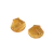 Aretes Seashell