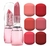 Batom Chrome Rose Vivai