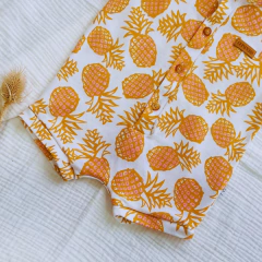 Enterito Ananás en internet