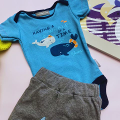 Conjunto Ballenitas en internet