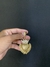 Pingente dono do lugar