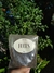 Fucus - comprar online