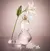 L’eau de Lily Blanche Desodorante Colônia 75ml - Glam Fascínio