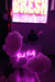 Pink Party